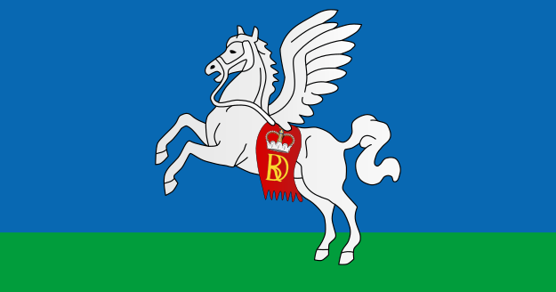 Flag_of_Słucak