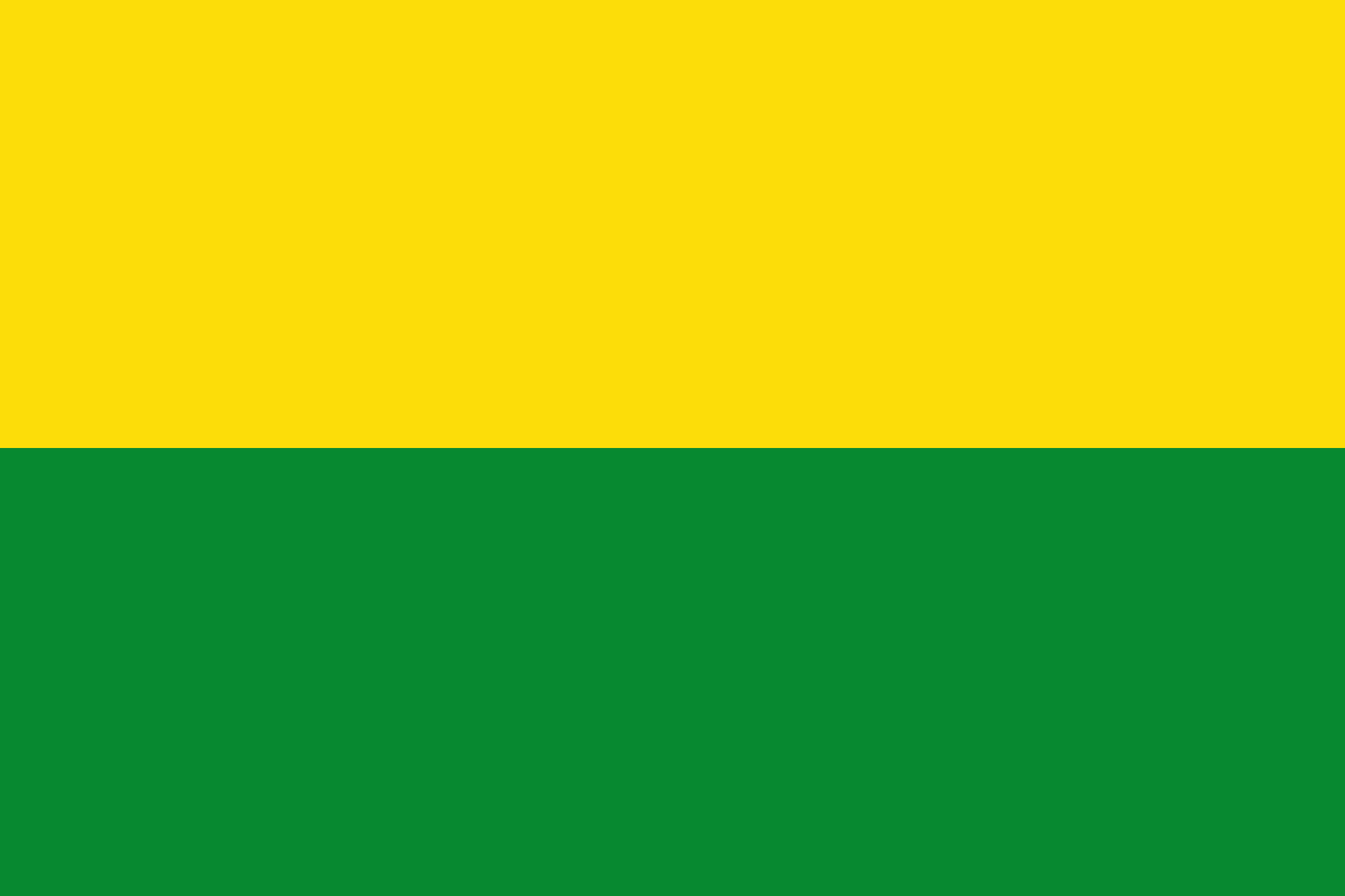 Flag_of_Vichada