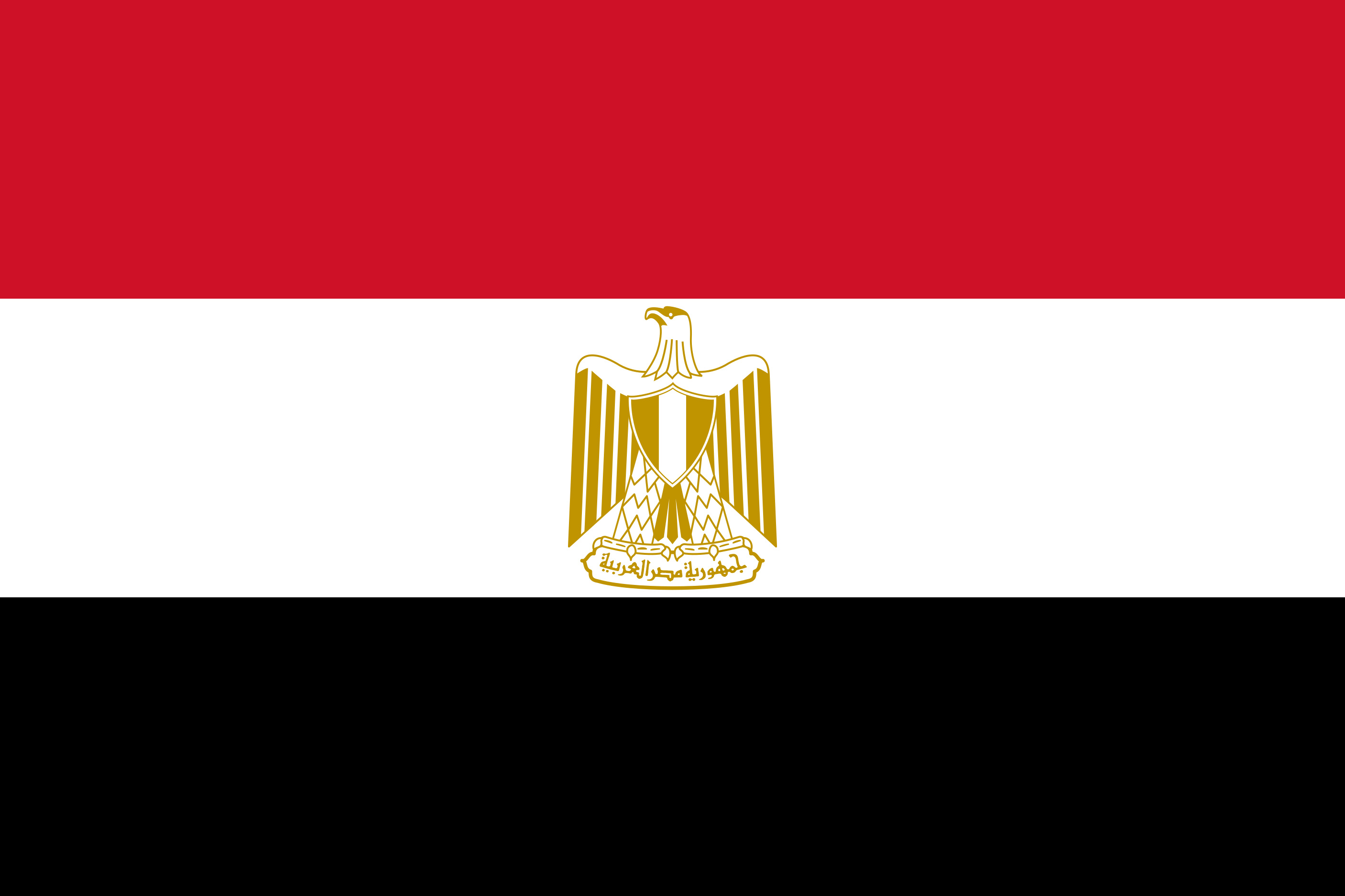 Egypt flag vector