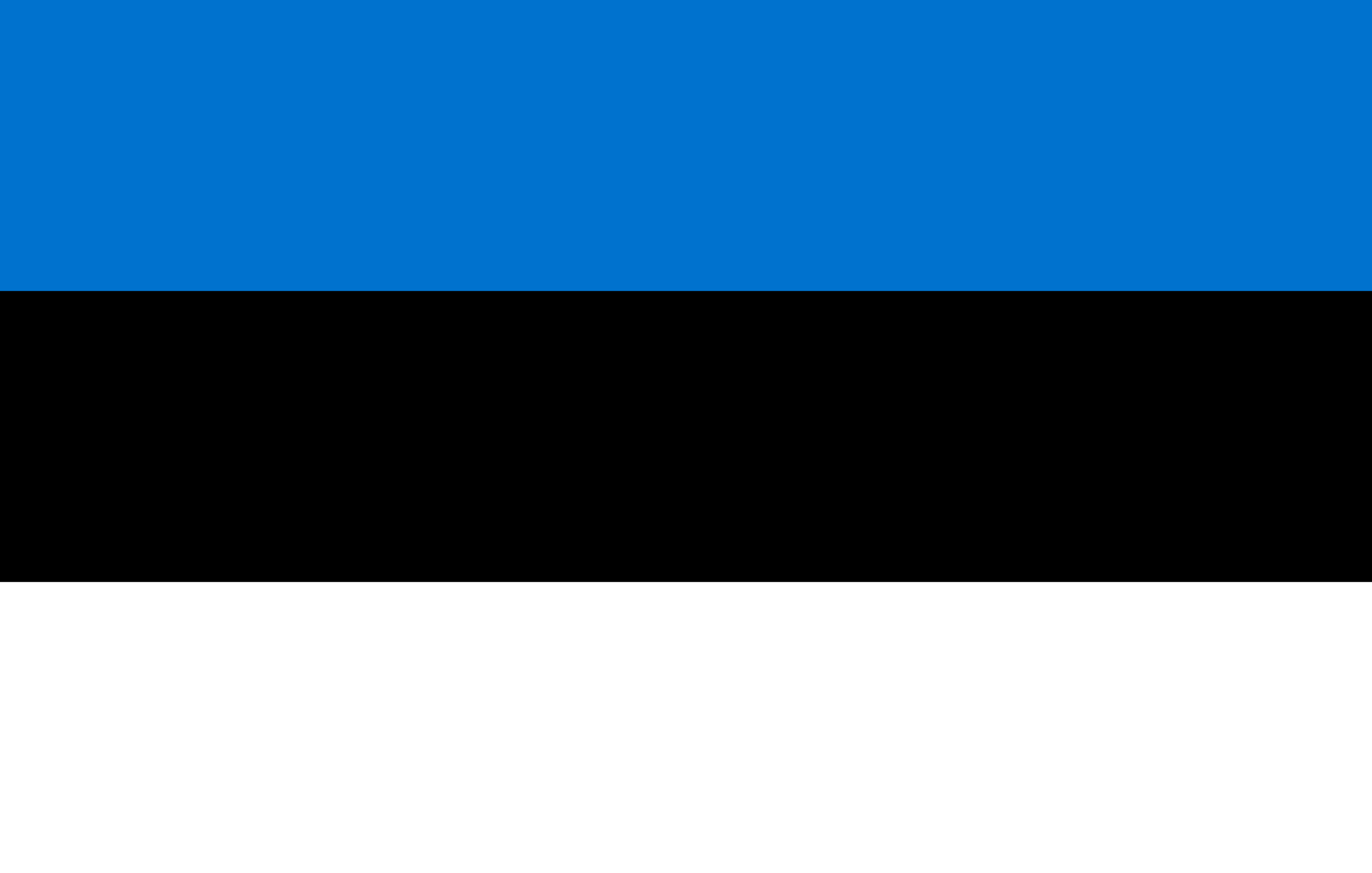 Estonia Flag vector