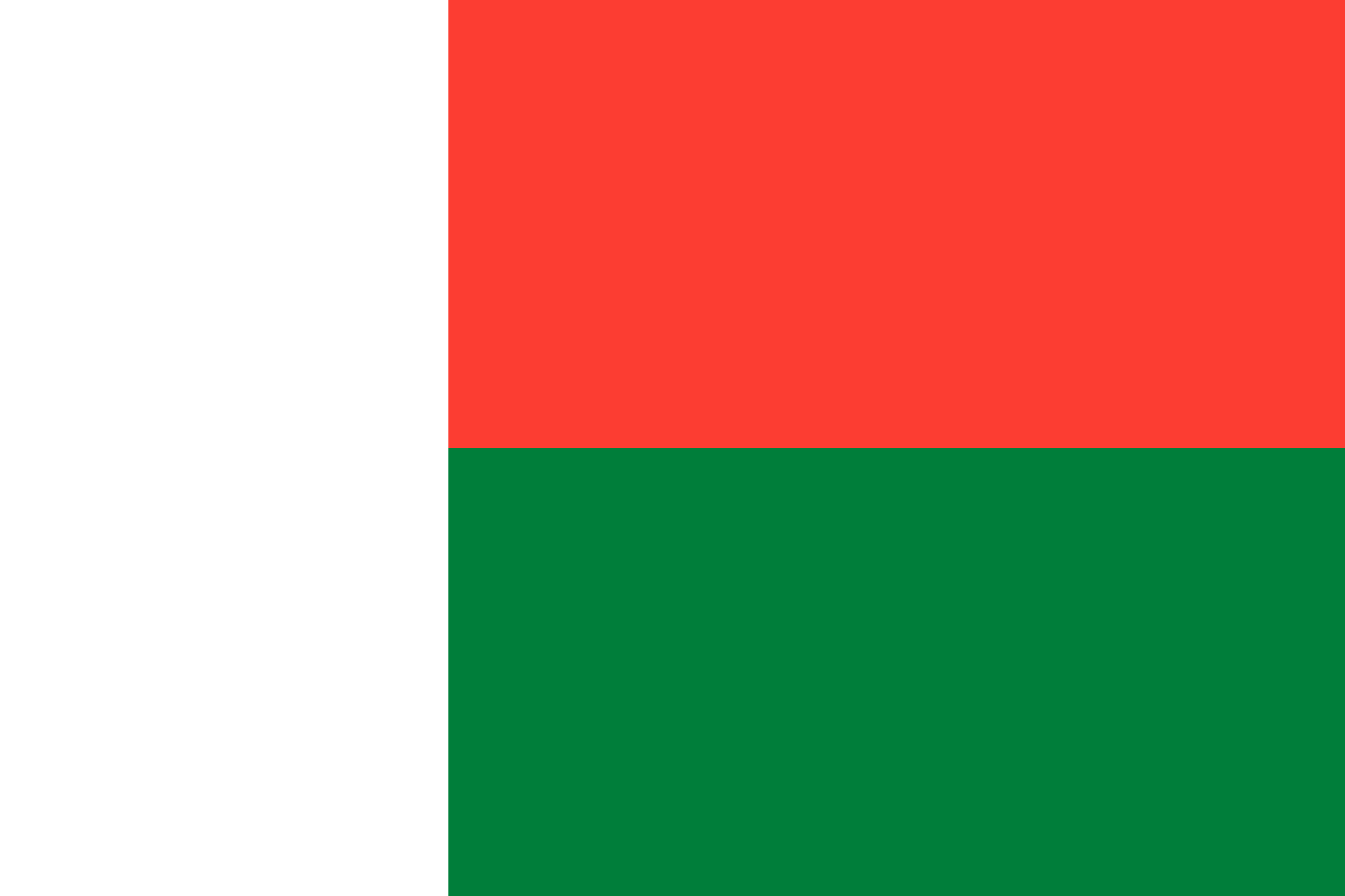 Madagascar Flag vector