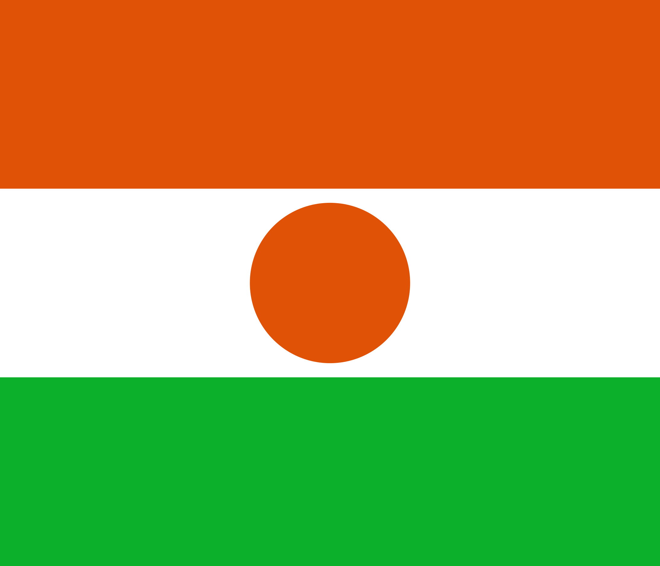 Free Niger Flag Documents: PDF, DOC, DOCX, HTML & More!
