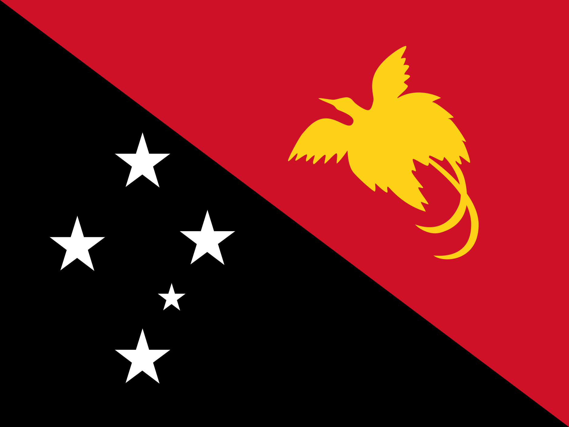 Papua New Guinea Flag vector
