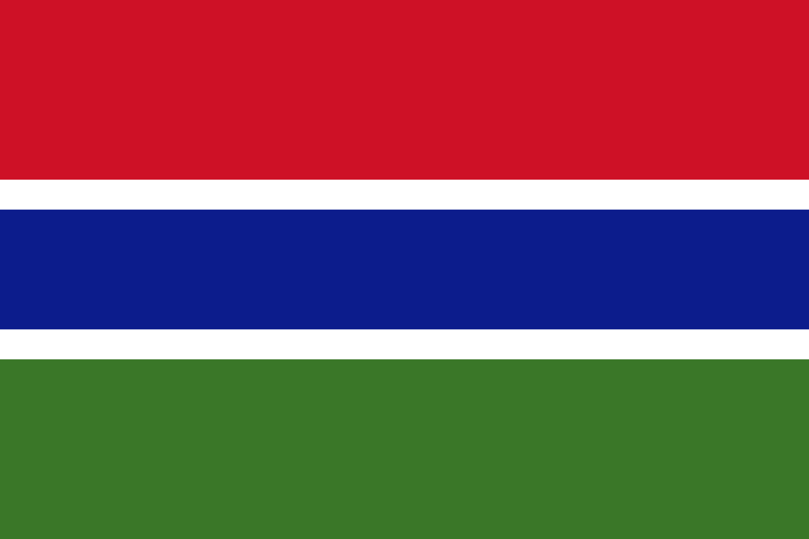 Gambia Flag Image - Free Download