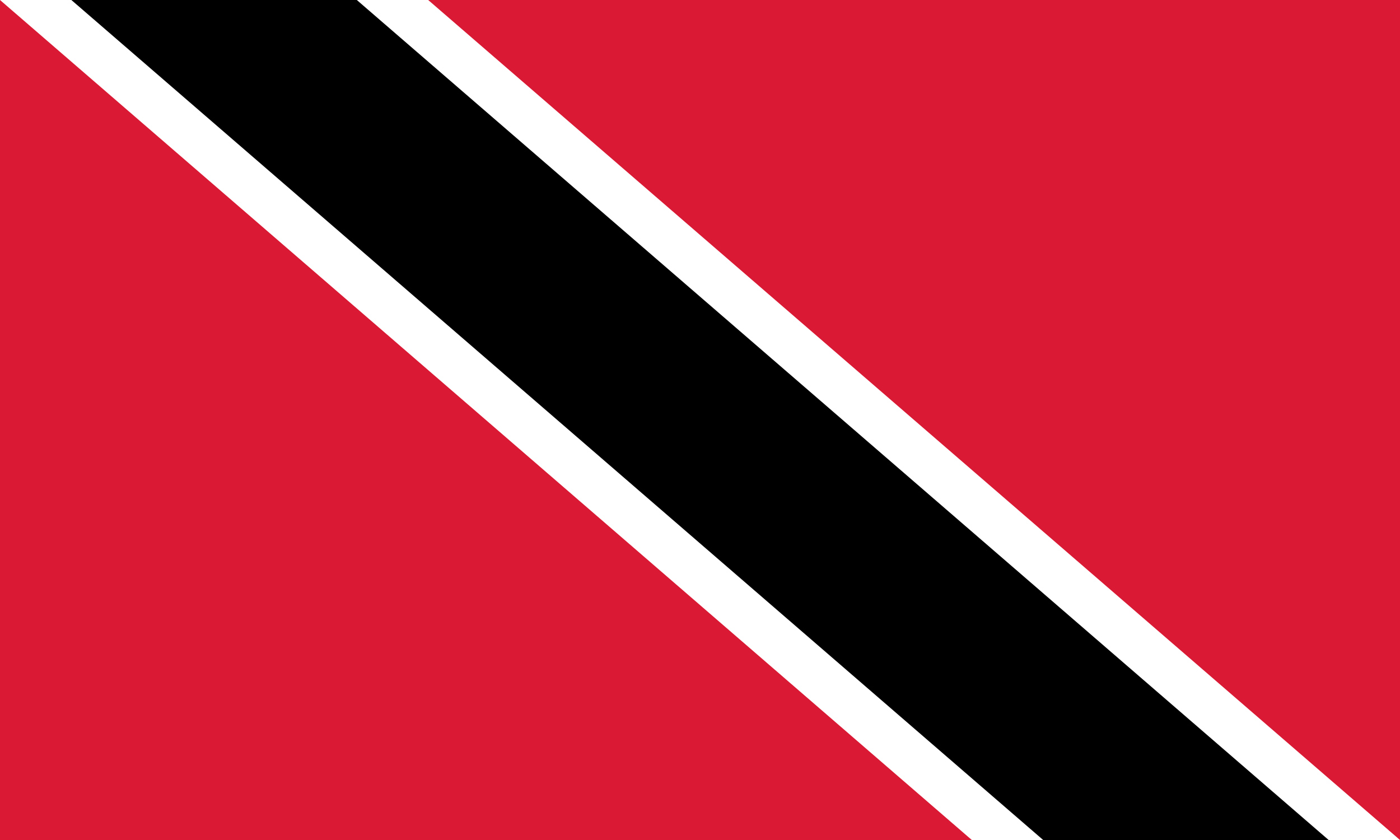 Trinidad and Tobago Flag vector