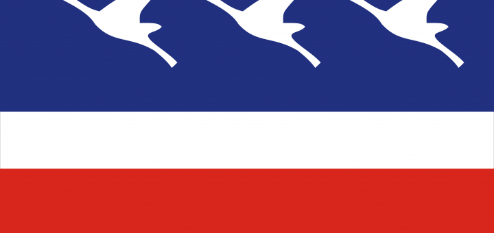 Bandeira_Guaratingueta_SaoPaulo_Brasil_2