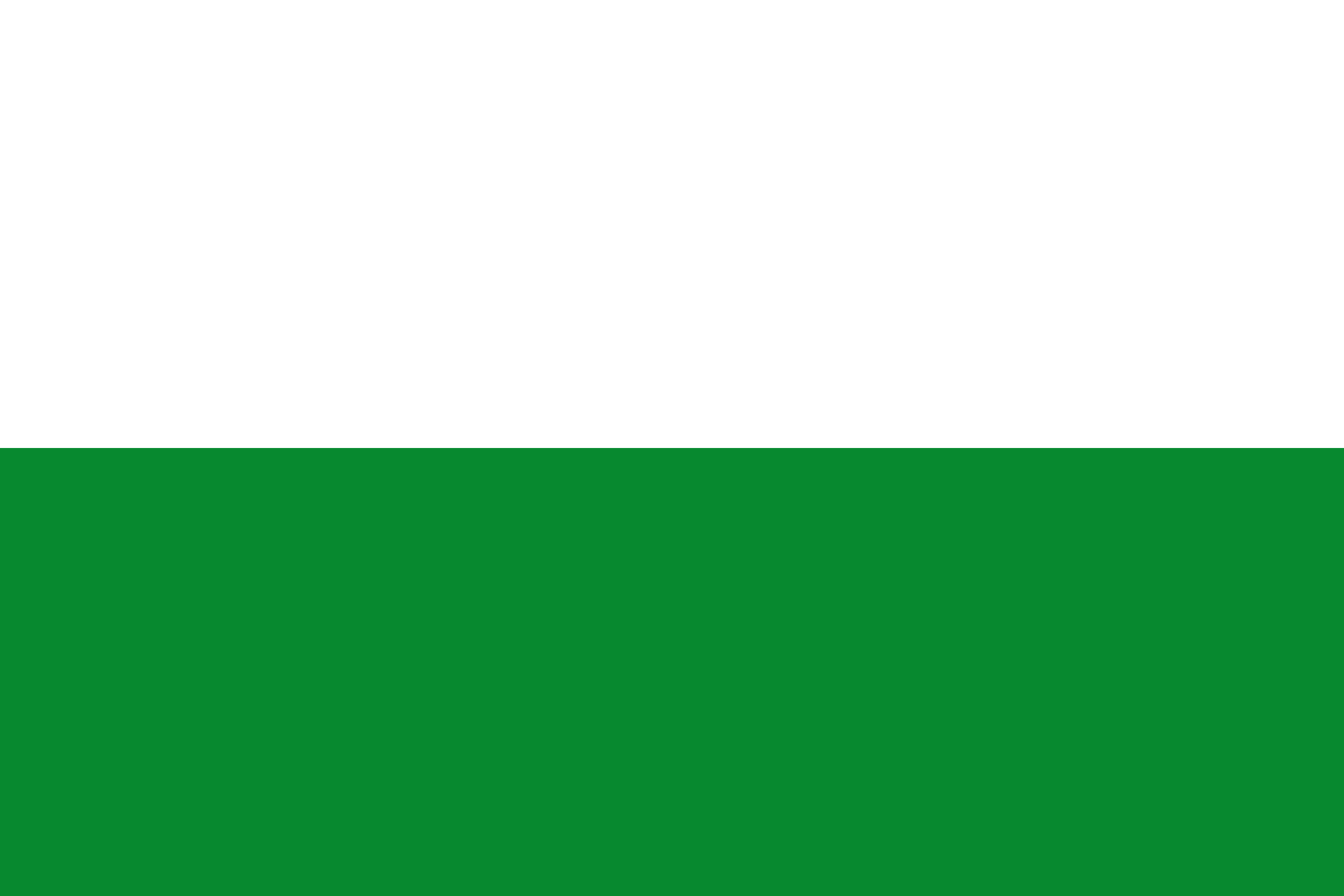 Bandera Provincia Esmeraldas
