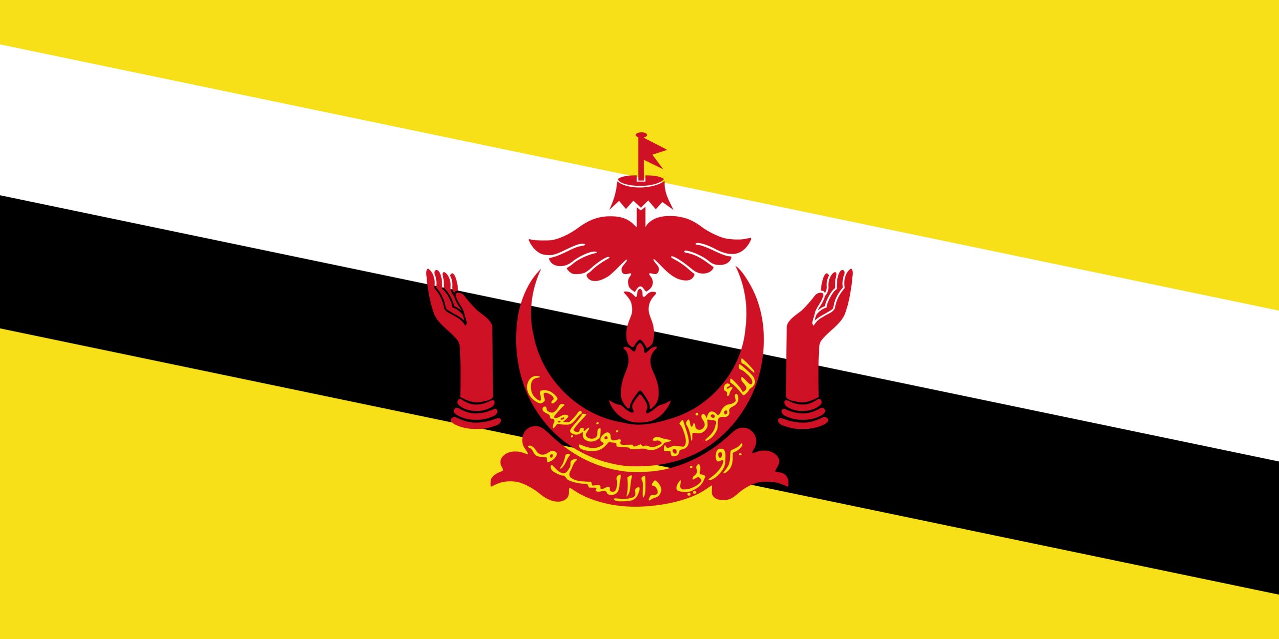 Brunei Flag Colours