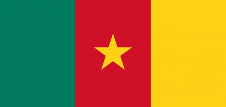 Cameroon Flag Colours