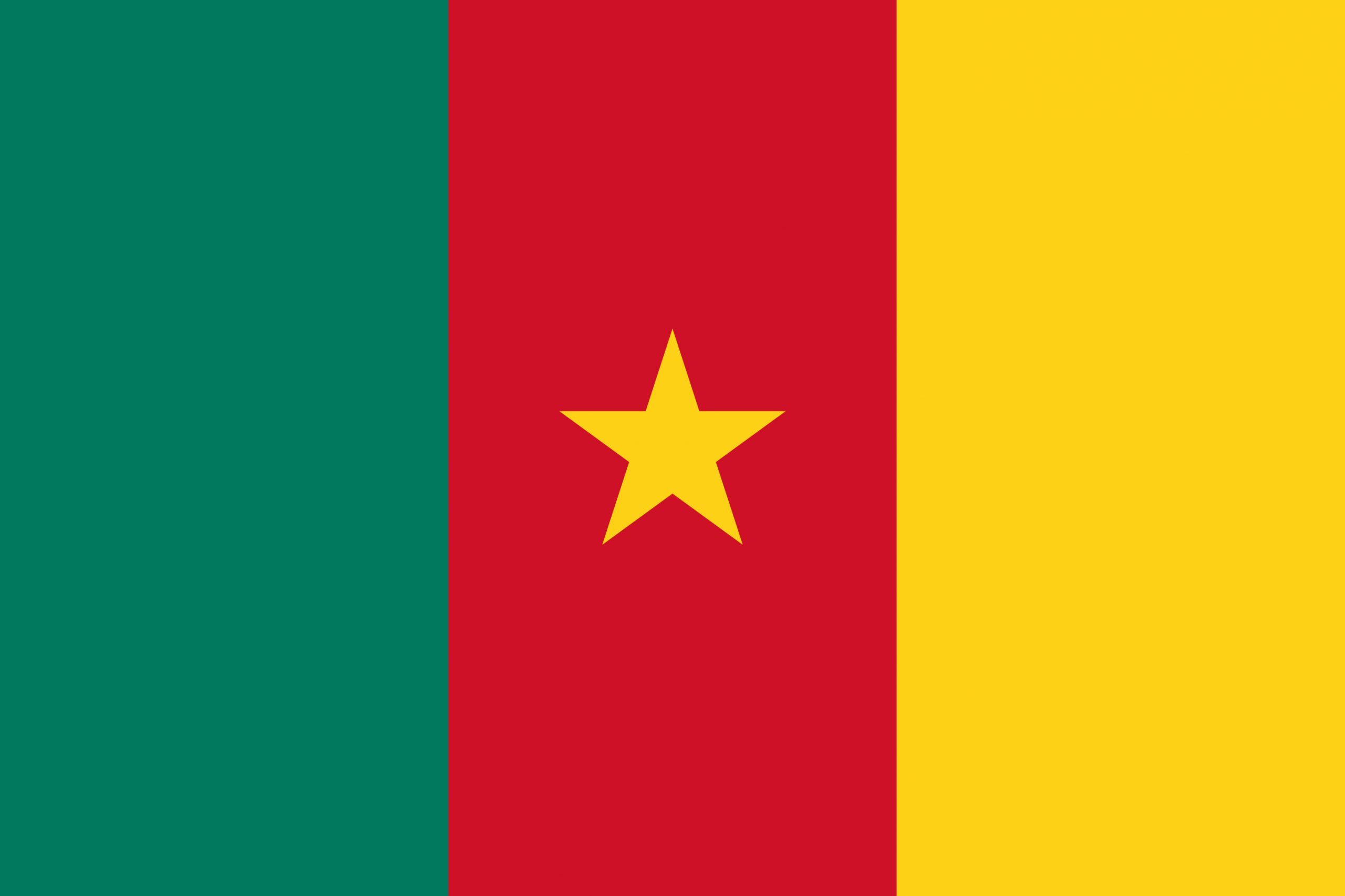 Cameroon Flag Colours