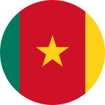 Cameroon Flag Emoji 🇨🇲