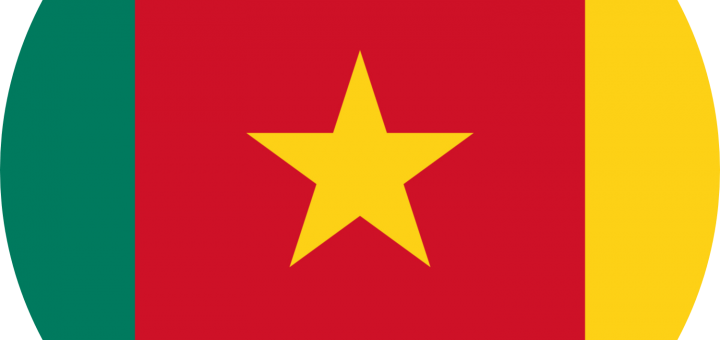 Cameroon Flag Emoji