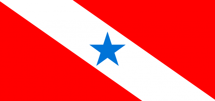 Flag_Bandeira_do_Para´