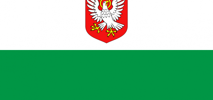 Flag_La¨a¨nemaa_lipp