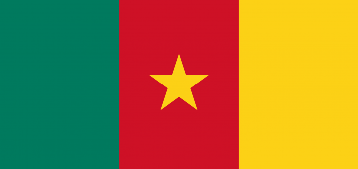 Cameroon Flag Vector – Free Download