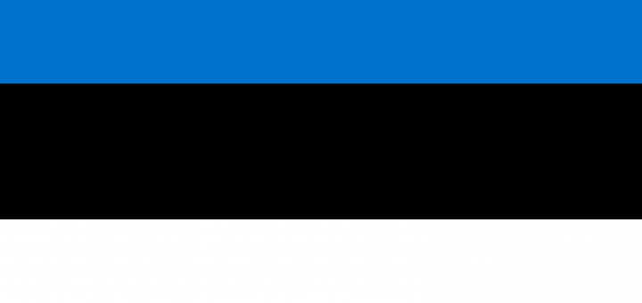Estonia Flag Vector - Free Download