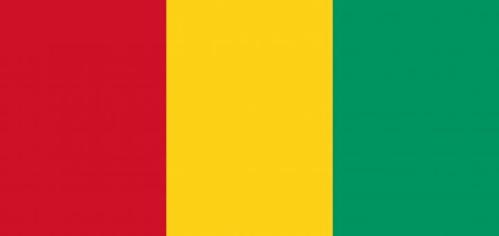 Guinea Flag Vector - Free Download