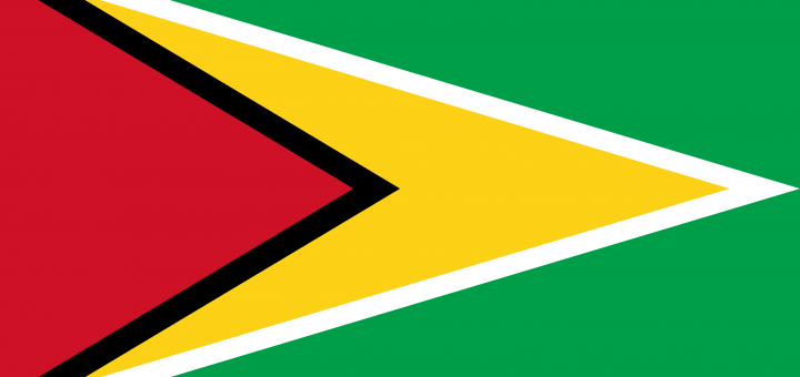 Guyana Flag Image – Free Download