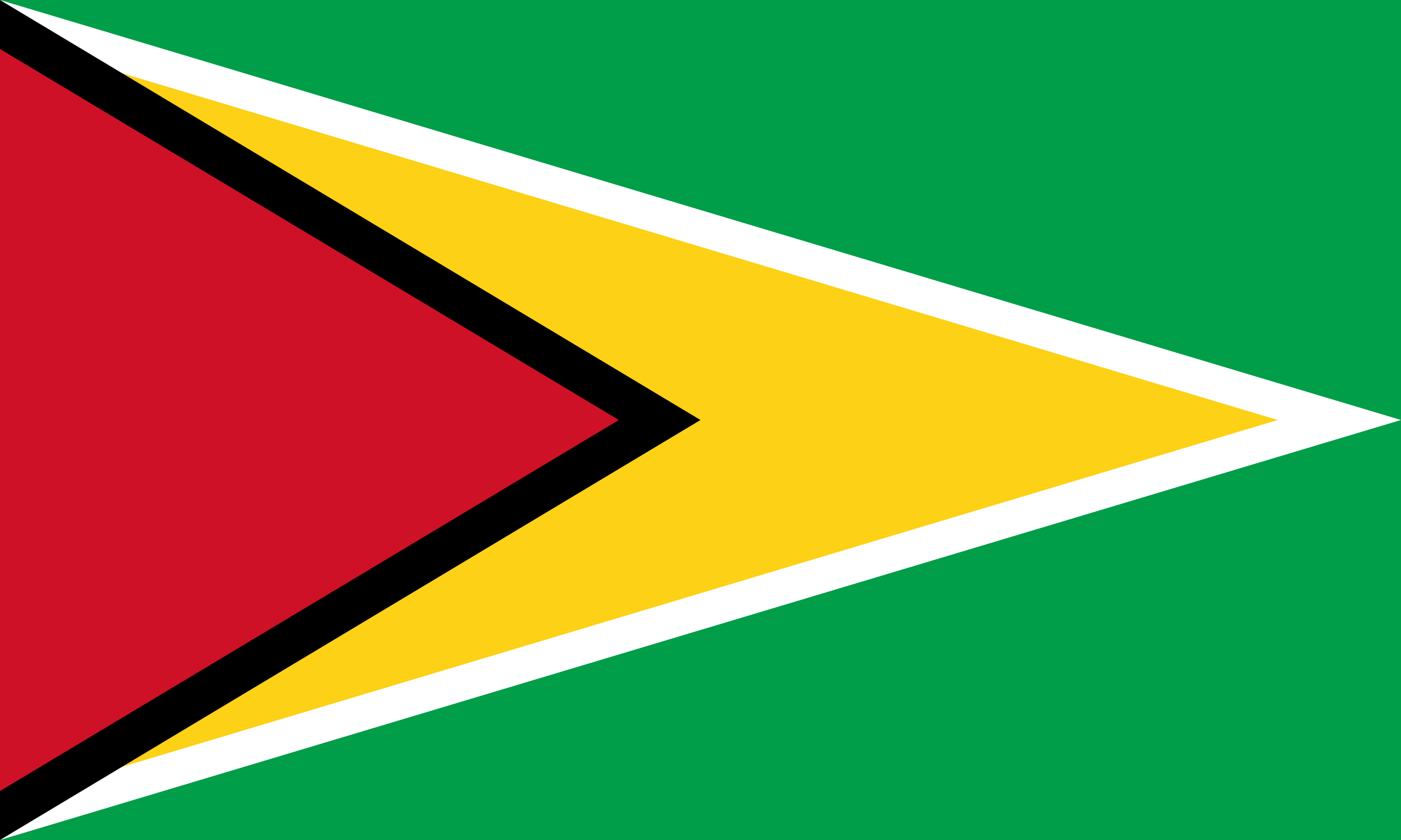 Guyana Flag Vector - Free Download