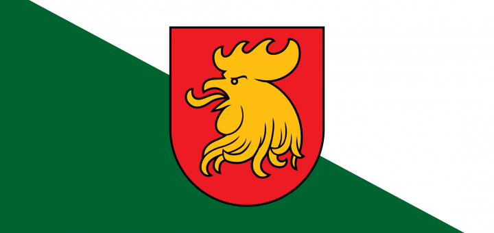 Flag_of_Madona