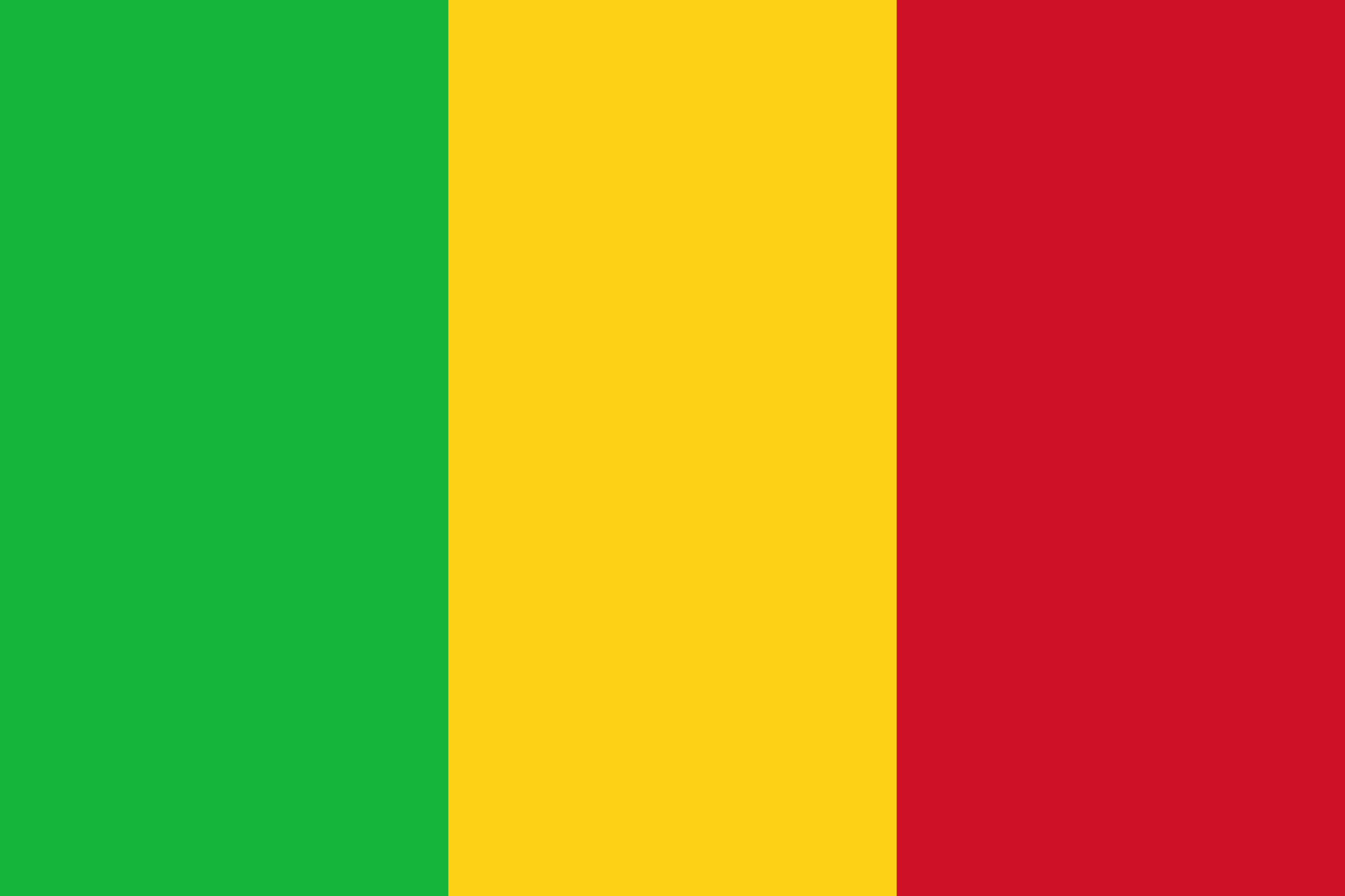 Mali Flag Image - Free Download