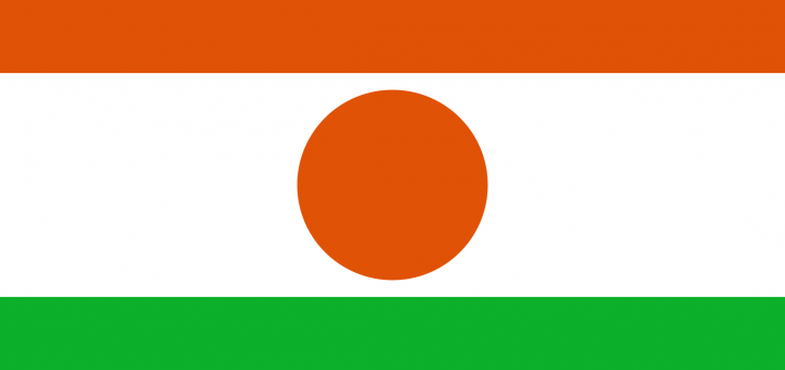 Niger Flag Image