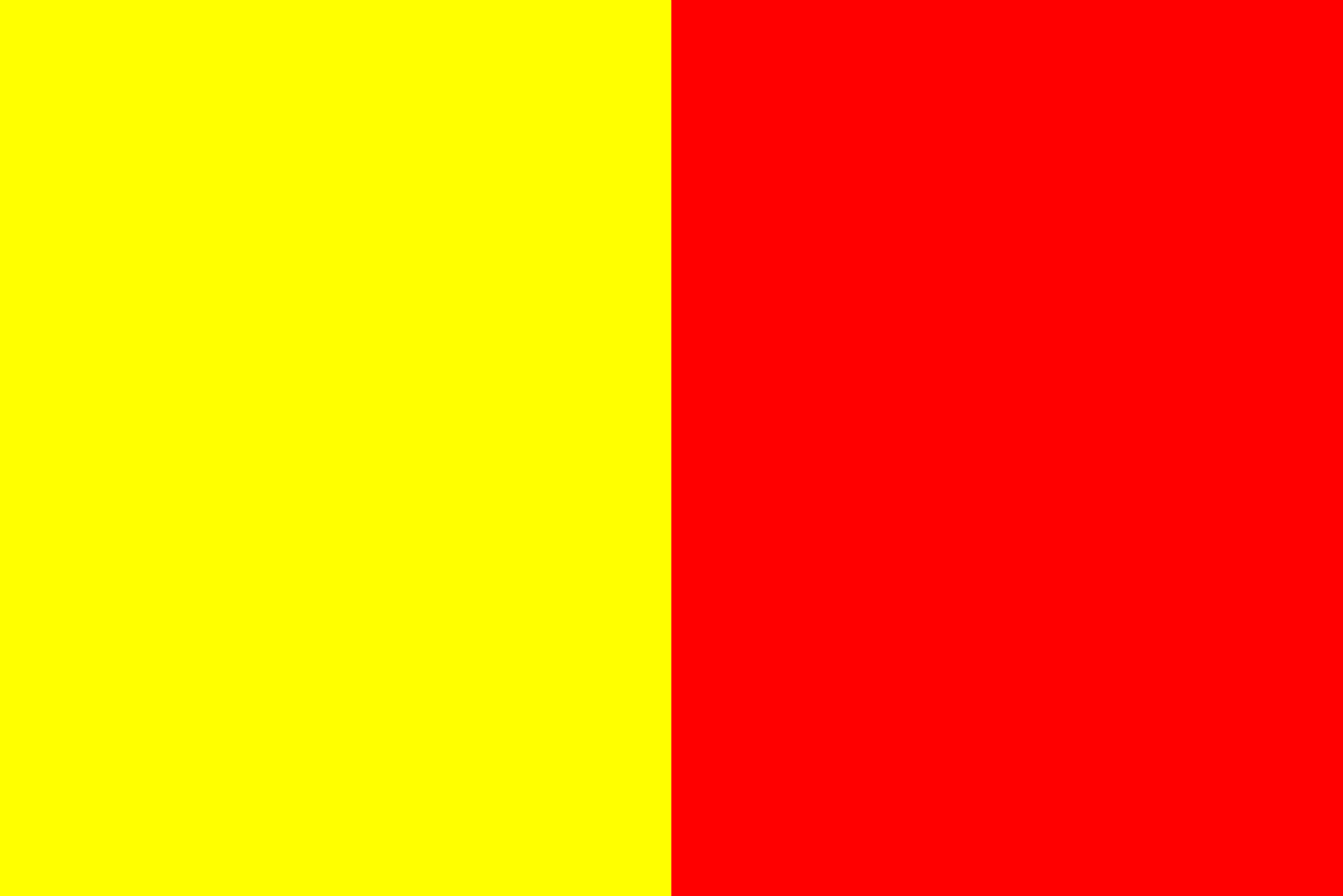 Flag of Orléans France