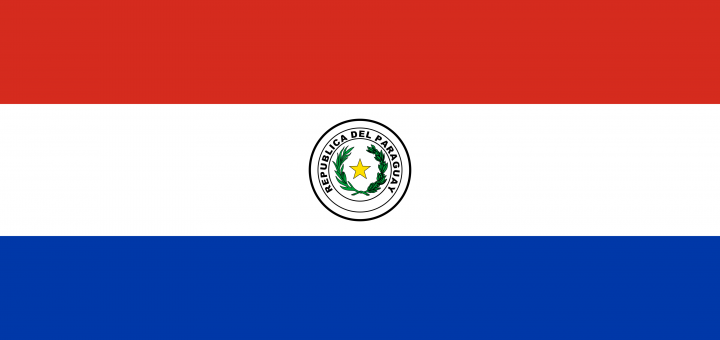 Free Paraguay Flag Documents: PDF, DOC, DOCX, HTML & More!