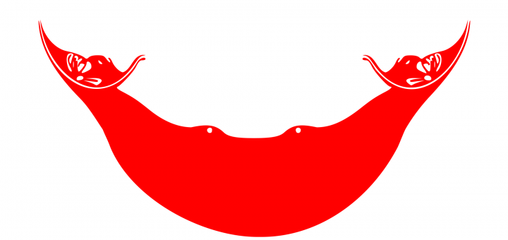Flag_of_Rapa_Nui__Chile.png
