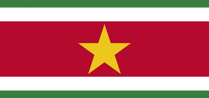 Free Suriname Flag Documents: PDF, DOC, DOCX, HTML & More!