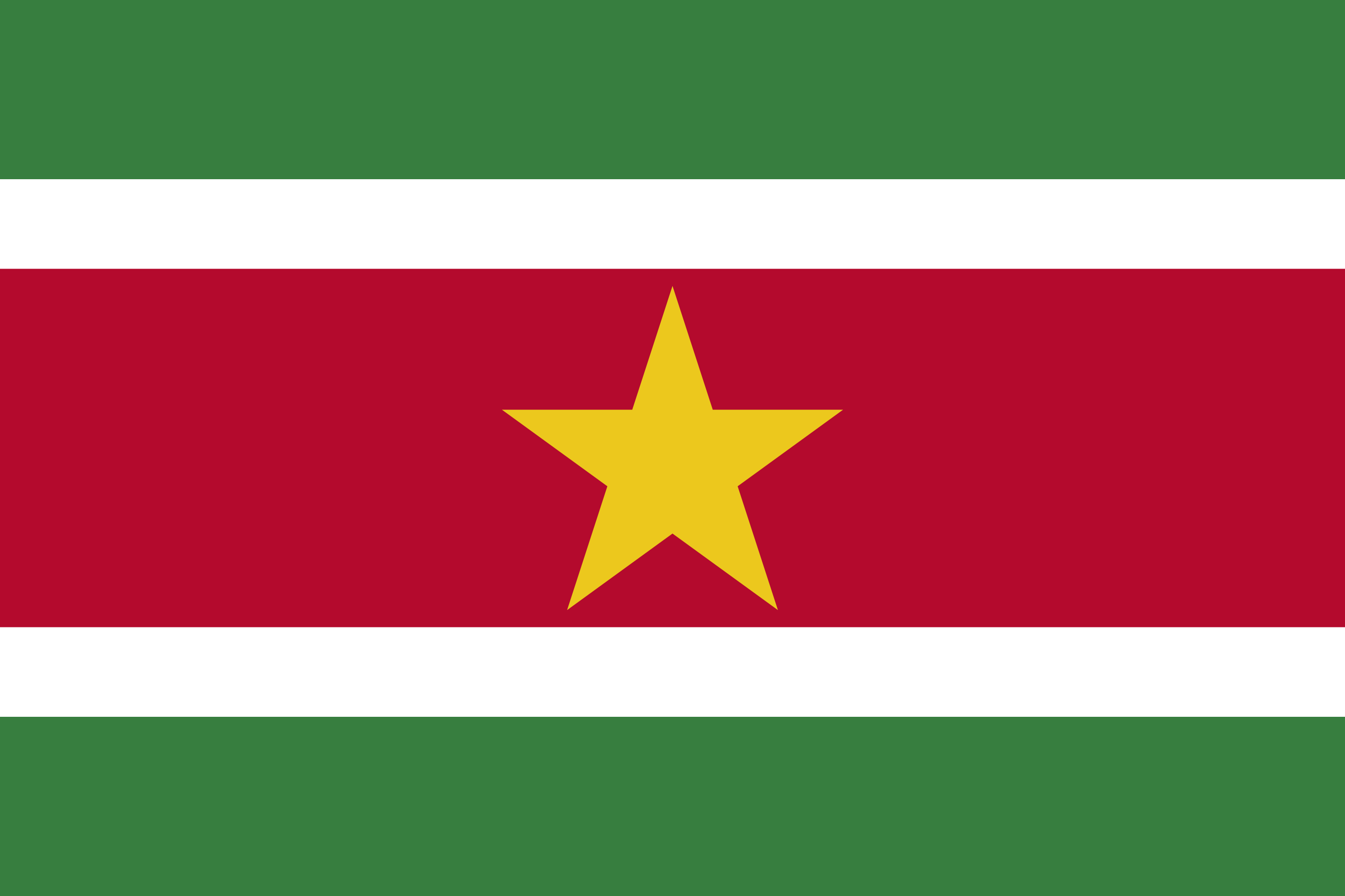 Free Suriname Flag Documents: PDF, DOC, DOCX, HTML & More!