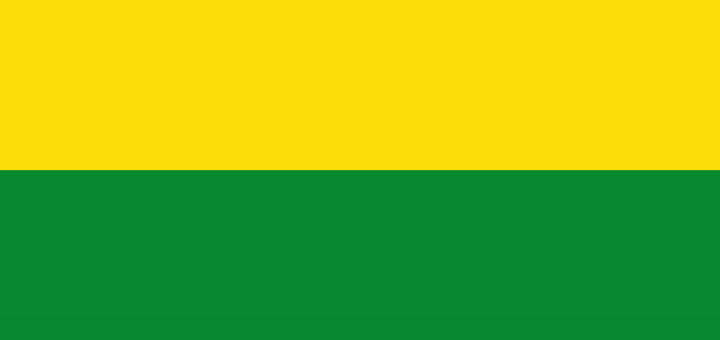 Flag_of_Vichada