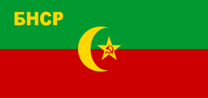 Flag_of_the_Bukharan_People_s_Soviet_Republic