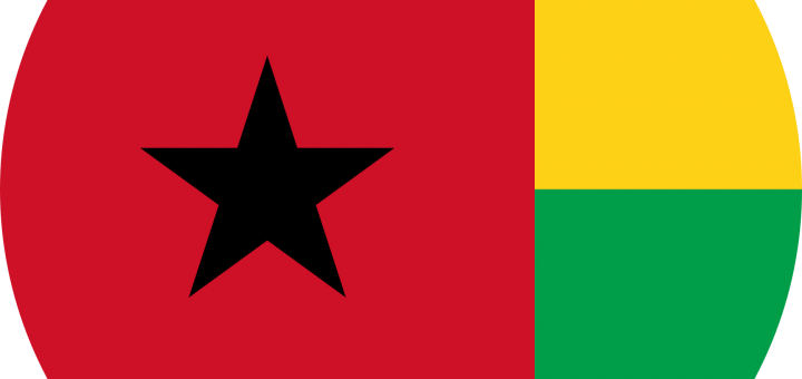 Guinea Flag Emoji