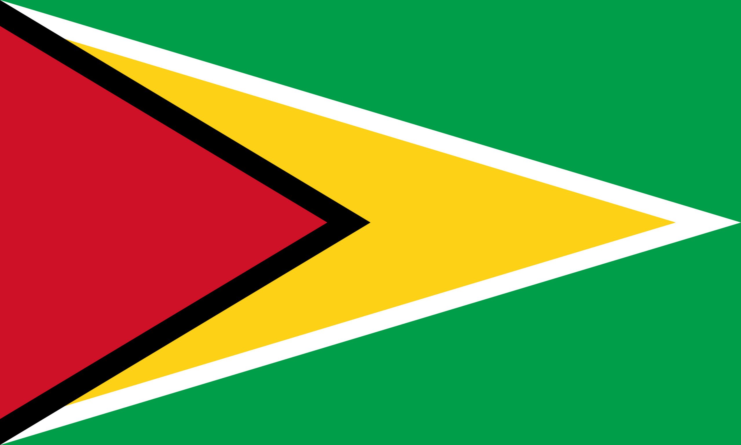 Guyana Flag Colours