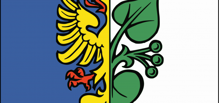 Karwina_flag