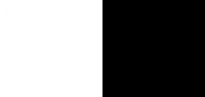 Metz_flag