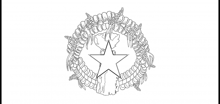 Northern Mariana Islands Flag Colouring Page
