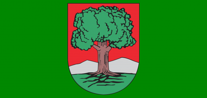 POL_Wałbrzych_flag