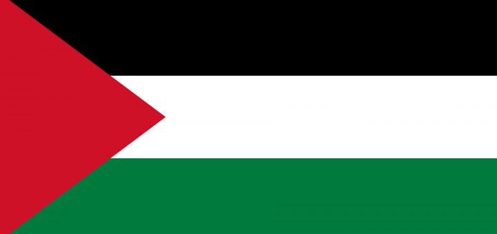 Palestine Flag Colours