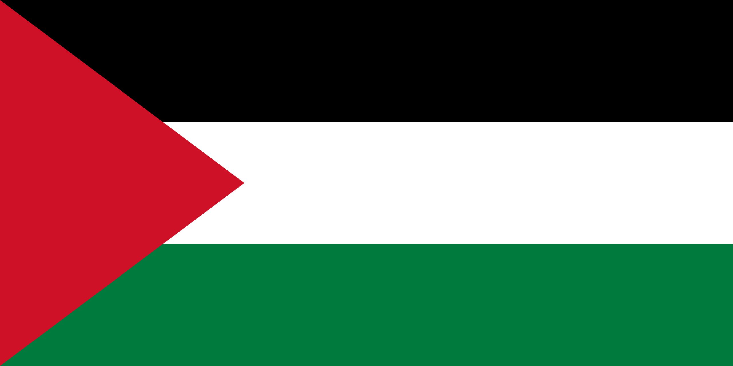 Palestine Flag Colours