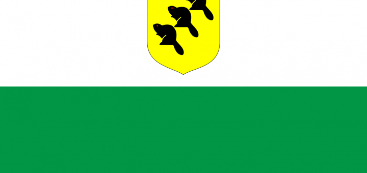 Po~lvamaa_lipp_Flag